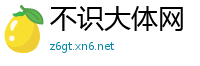 不识大体网